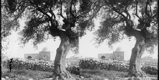 Rachel – die Erzmutter und ihre Bedeutung in der jüdischen Tradition